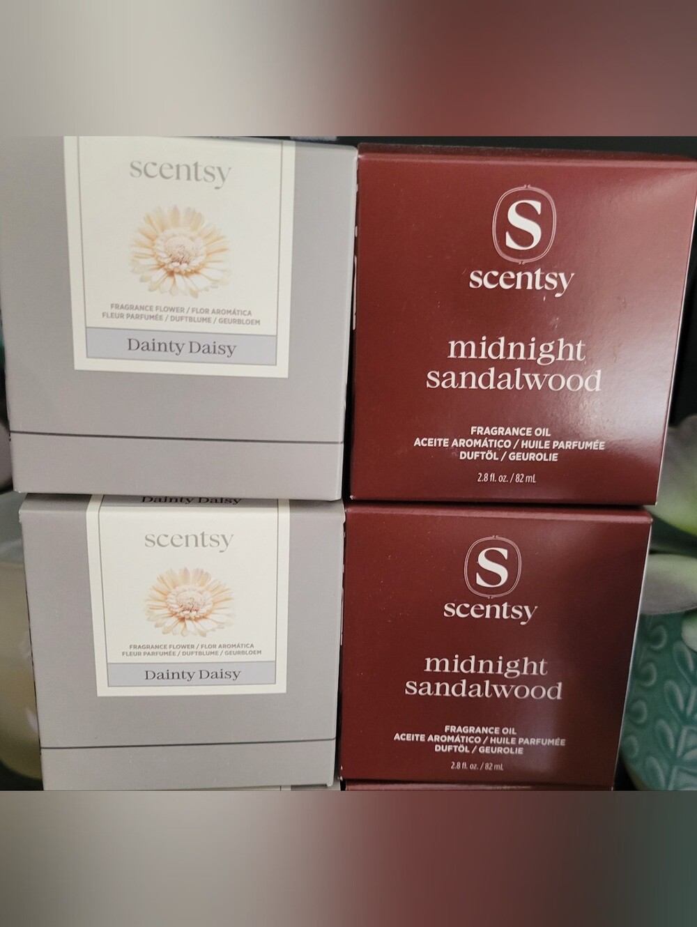 Set Of 2 Scentsy Midnight Sandalwood Fragrance Flowers-Dainty Daisy-NEW!